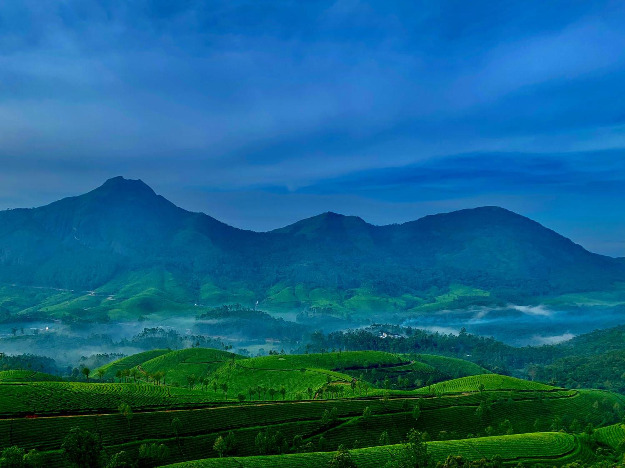 Lockhart Bungalow Munnar - A Cgh Earth Saha Experience Экстерьер фото