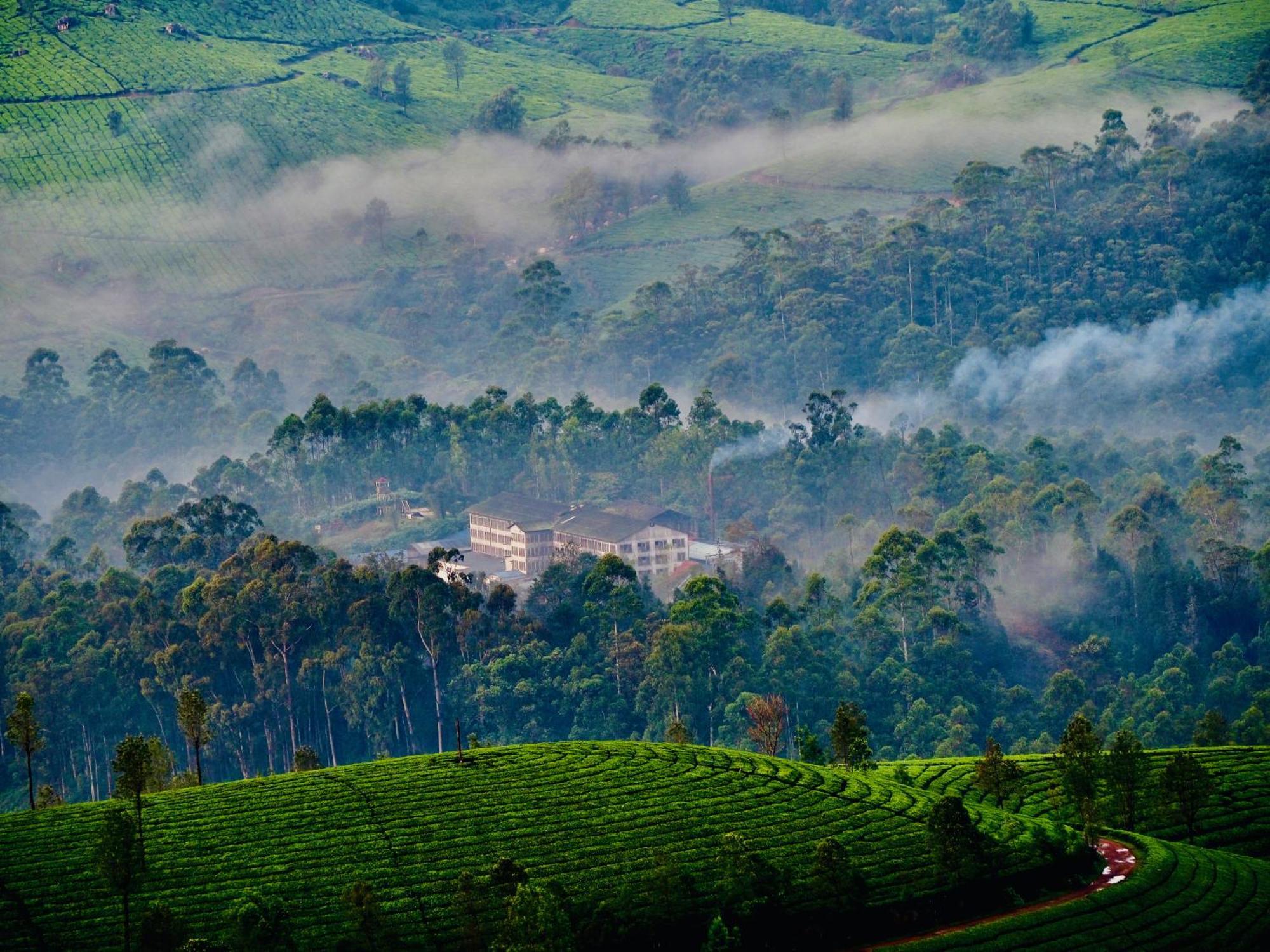 Lockhart Bungalow Munnar - A Cgh Earth Saha Experience Экстерьер фото